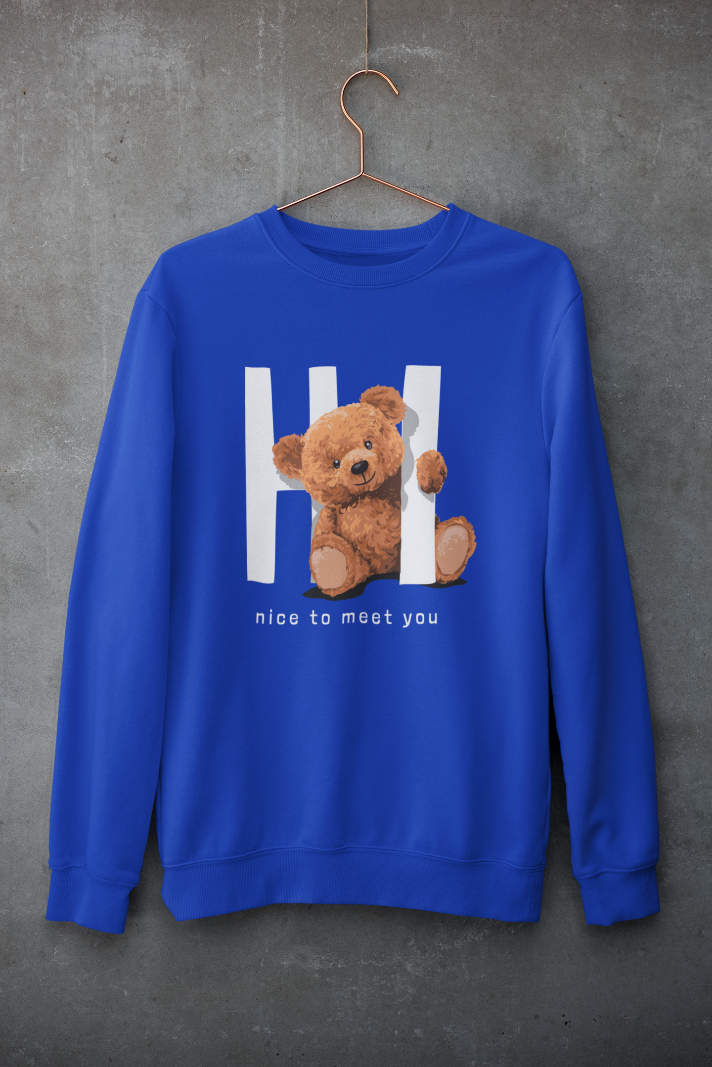 Hi Nice To Meet You Teddy Sweatshirt